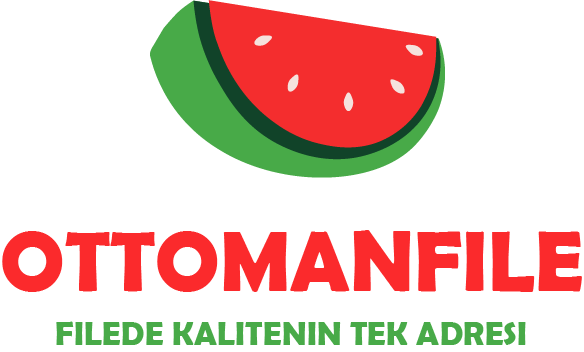 Ottoman File